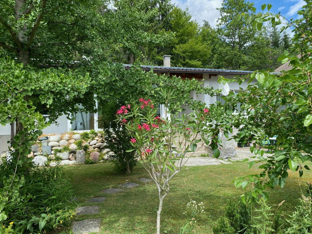 Bungalow Grabner Hermagor-Pressegger See Dış mekan fotoğraf